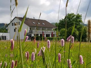 MUT.HAUS - 4
