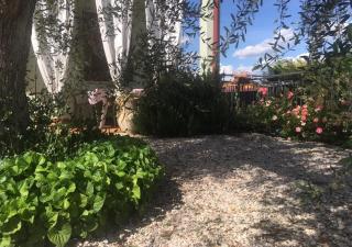 Appartamento Sofia - Lazise - 3