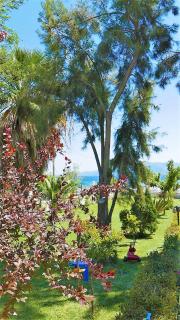 Amarynthos Beachfront Vacation House with garden - Áno Váthia - 8