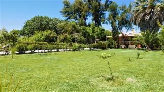 Amarynthos Beachfront Vacation House with garden - Áno Váthia - 7