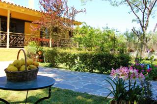 Amarynthos Beachfront Vacation House with garden - Áno Váthia - 3