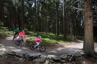 Holiday Villa Lipno Lake - 8