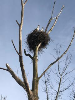 Le Clos du Square - climatisé - Rochefort - 2