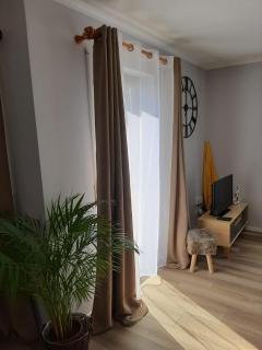 Park Appartements - Badenweiler - 5