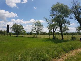 Podere Buriano - Arezzo - 4