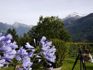 Haus Bichl - 6