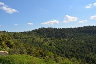 Casa La Mestra - Herbeset - 1