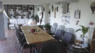 Apartment Cats - Donji Milanovac - 9