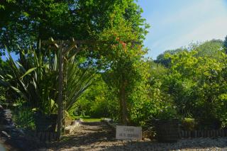 Le Domaine du Pont Canon - Plourivo - 3