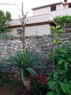 House Mergi 2 - Pomer - 3