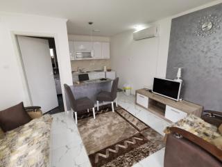 Studio Aleks 2 - Banja Koviljača - 6