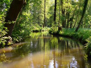 Am Waldrand Spreewald - Burg - 2