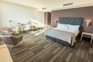 MDS Hotel Chillan - Chillán - 8