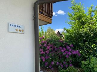 Lusht'n apartma - Žirovnica - 2