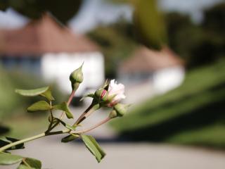 Schloss Freudenfels - 1