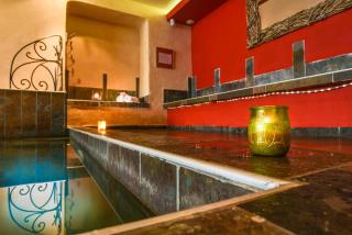 Hôtel Spa Mendi Alde - Ossès - 9