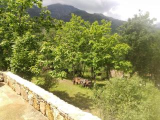 Villa Praesidio - Riventosa - 5