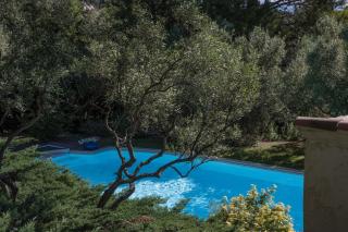 Chambre d'hôte Mont Ventoux - 5