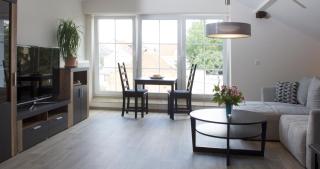 Ringelnatz & Lichtwer- Ferienwohnung Wurzen - Wurzen - 6