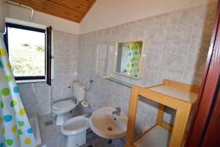 Flower Garden Rhapsody - Modern Family Apartments near Fazana - 4