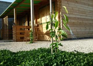 B&b Ventuno Barumini - Barumini - 8