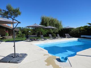 Les Hortensias - Caumont-sur-Garonne - 0