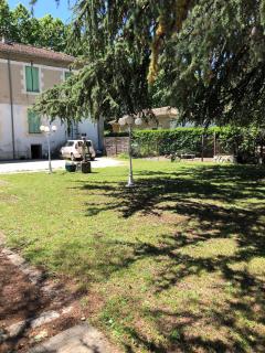 Le Parc aux Cedres - 8