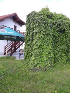Penzion a restaurace U Strnada - 4