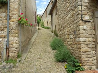 Rue du Barri - Cordes-sur-Ciel - 5