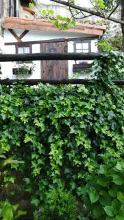 La Casita del Tejo - 1