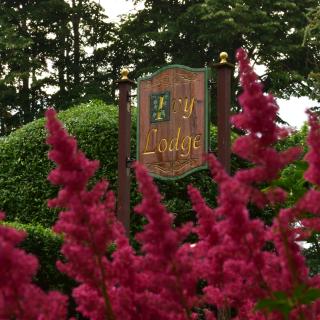 Ivy Lodge - 6