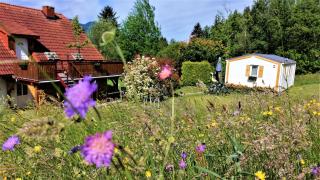Holiday home Rozika - Slovenj Gradec - 5