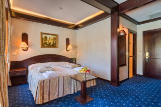 Hotel Snagov Club - Snagov - 7