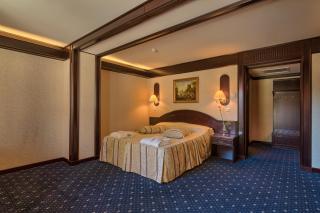 Hotel Snagov Club - Snagov - 2