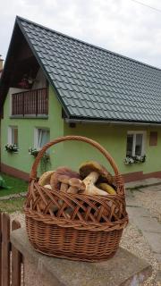 Domček u Ferka - Dedinky - 0