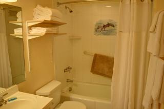 Maui Vista 2422 - Kihei - 1