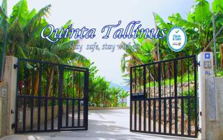 Quinta Tallinus - Funchal - 0