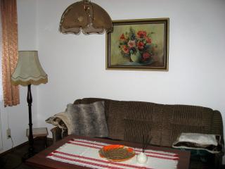 Haus Ingrid Ferienwohnung Vintage - Oberlungwitz - 5