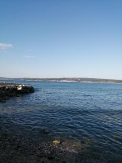 Tortoise - Crikvenica - 8