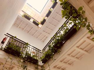 La Casa Morada - Cadice - 2