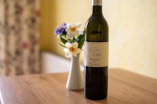Weingut Lambauer - Kitzeck im Sausal - 6