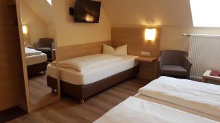 Hotel-Restaurant Stern - Geiselwind - 3