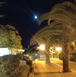 IL QUADRIFOGLIO Mare e Relax - Tortoreto Lido - 1