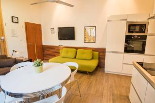 Apartman Masne kramy - Třeboň - 4
