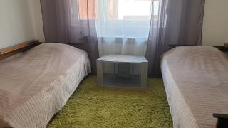 Vlajkovic apartmani 2 - Vrnjačka Banja - 9