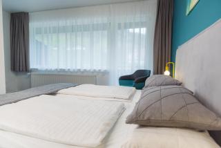 Hotel & Restaurant Mühlenglück - Oppenau - 8