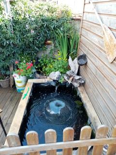 ancienne maison des templiers - 1