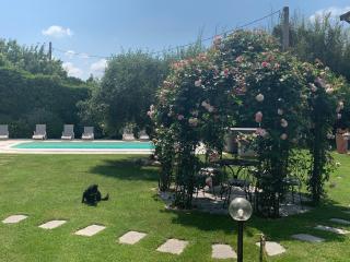 FiordiSole Holiday Home - Montopoli in Val dʼArno - 4