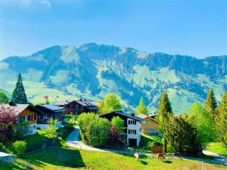 The Swiss Paradise 1 Penthouse apartment - Wirzweli - 1