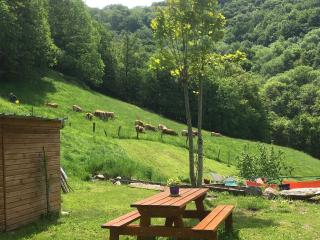 Chambres d'hôtes Le Lepadou-Bas - Saint-Chély-dʼAubrac - 1